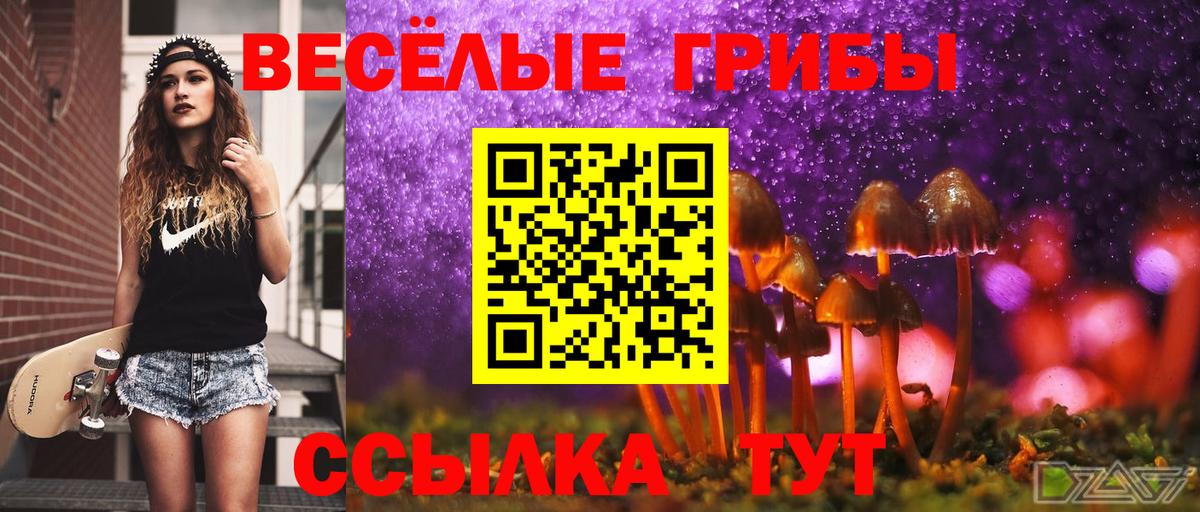 Псилоцибиновые грибы прущие грибы Прохладный