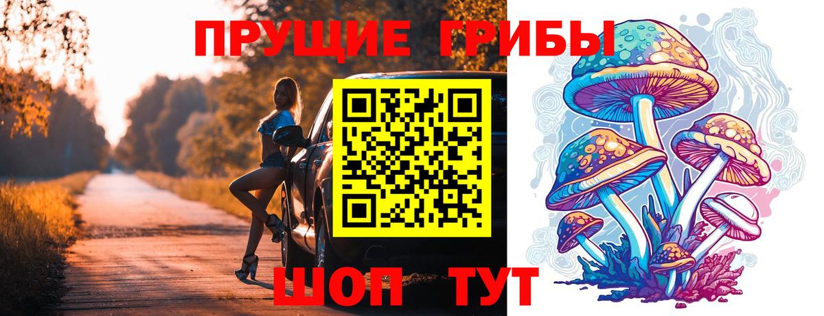 Прохладный  Галлюциногенные грибы мицелий  закладка  Вход с VPN 